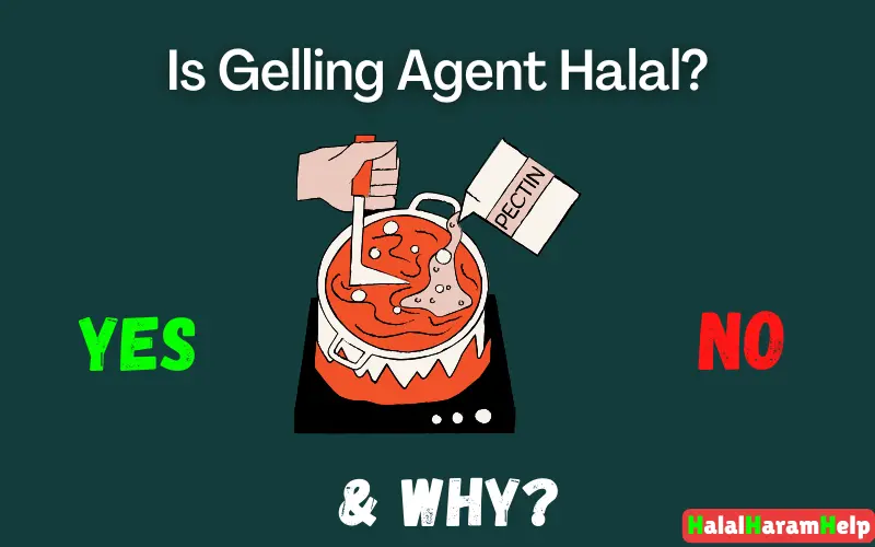 Is Gelling Agent Halal