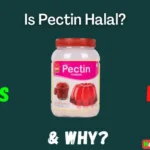 Is Pectin Halal