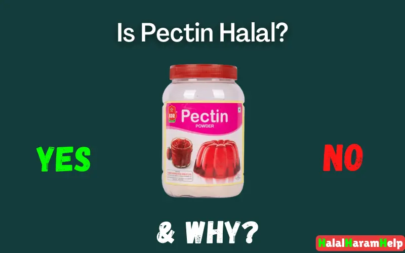 Is Pectin Halal