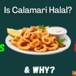 Is Calamari Halal