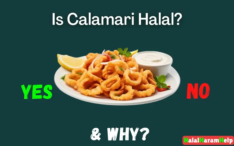 Is Calamari Halal