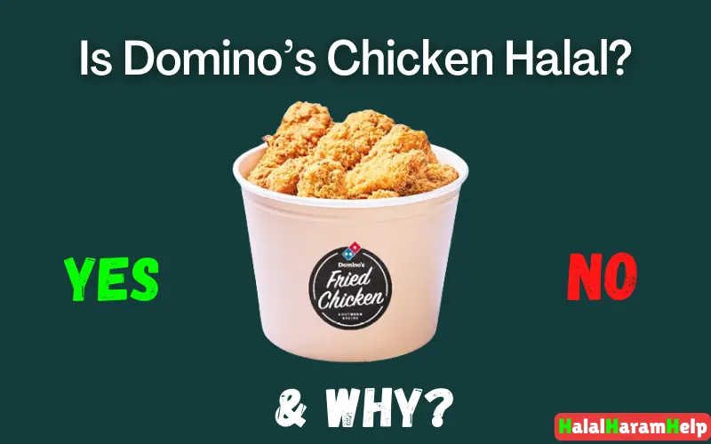 Is Domino’s Chicken Halal