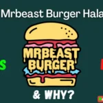 Is Mrbeast Burger Halal