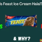 Is Feast Ice Cream Halal