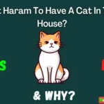 Is It Haram To Have A Cat In The House