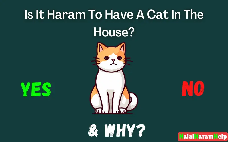 Is It Haram To Have A Cat In The House