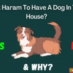 Is It Haram To Have A Dog In The House