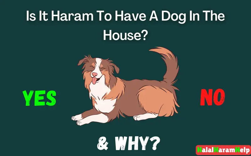 Is It Haram To Have A Dog In The House