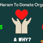 Is It Haram To Donate Organs