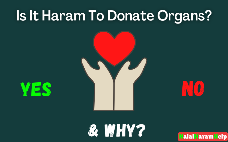 Is It Haram To Donate Organs